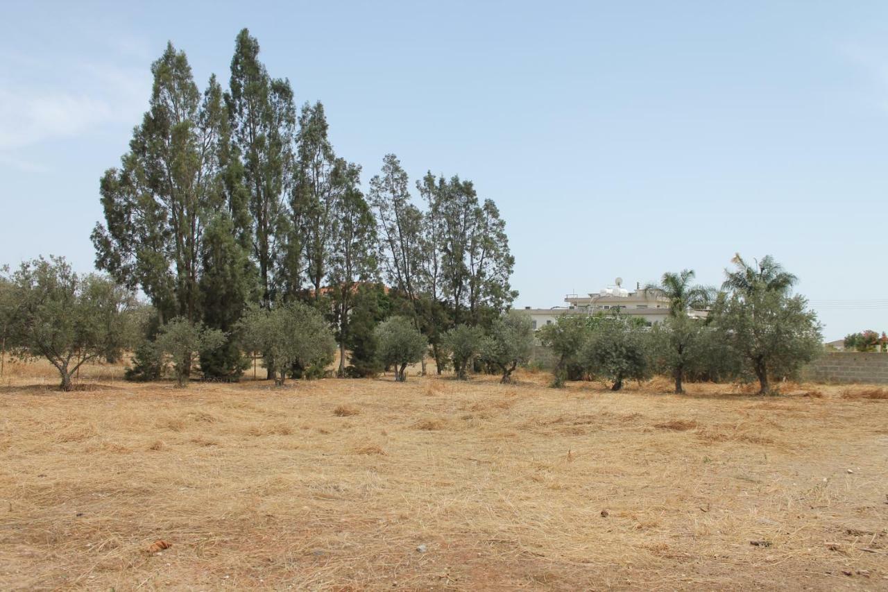 Ithaca Villa Larnaca Exterior photo